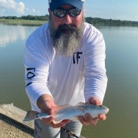 Tim Torno Email & Phone Number