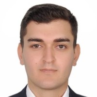 Sepanta Employee Hani Sabzemeidani's profile photo
