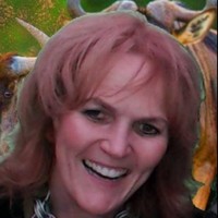 Deb Kaiser Email & Phone Number