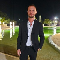 Michele de Meo Email
