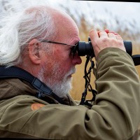 KNMV Employee Willem Laros's profile photo