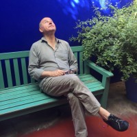 Marc Meyer Email & Phone Number