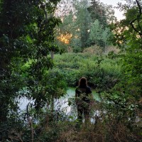 Justwise Group Employee David Sadler's profile photo