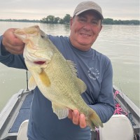 Temperform, LLC Employee Nicolo Riccobono's profile photo