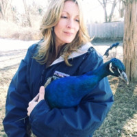 Detroit Zoological Society Employee Renee Dash's profile photo