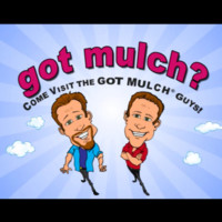 Clean Wood Recycling Inc. Employee Michael Kott's profile photo