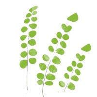 Roots Landscape, Inc. Employee Elizabeth Converse's profile photo