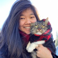 Mini Cat Town, Inc. Employee Thoa Bui's profile photo