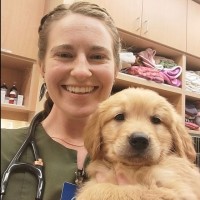 Terra Vista Animal Hospital Employee Hana Krauss's profile photo