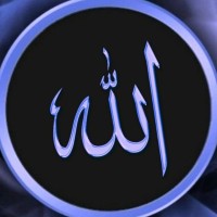 Qamar Ejaz Email