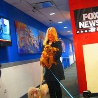 Gina Dinardo Email & Phone Number