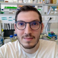 Grégory Renard Email