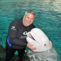 Will Ramsey Email & Phone Number