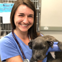 IndyHumane Employee Erica Wight's profile photo
