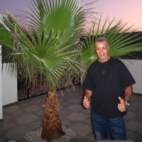 Samir Hoummada Email