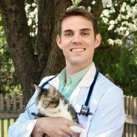 Central Bucks Veterinary Hospital Employee Jack Perkins's profile photo