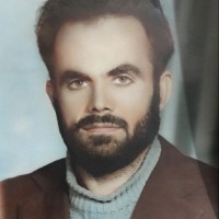 Ali _urmo Email