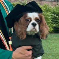 Y Combinator Employee Arthur Lee's profile photo