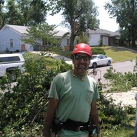 Majestic Tree Service Employee Michael Regner's profile photo