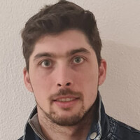 Galostar Brickwork/Scaffolding LTD Employee Ionut Bordeus's profile photo