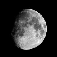LMI Texas Landscapes, LLC Employee Jorge MacHin's profile photo