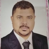Tamer Ali Email