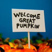 Wooplr Employee Khushboo Fatima's profile photo