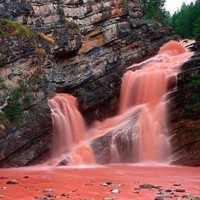 Seeking a New Opportunity in the construction industry Employee Ron Millard's profile photo