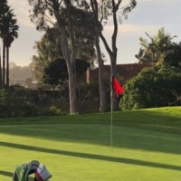 World Financial Group (WFG) Employee Xiaoxin Wang's profile photo