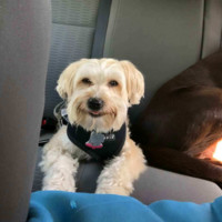 B.E. Smith Employee Rick Knapp's profile photo