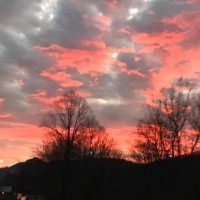 Jackson County Public Schools Employee Dana Ayers's profile photo