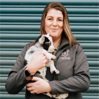 THORNTON HALL COUNTRY PARK LTD Employee Jennifer Bednarek's profile photo