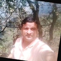 Shailendra Mamgain Email