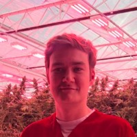 MAMEDICA® Employee Charles Williamson's profile photo