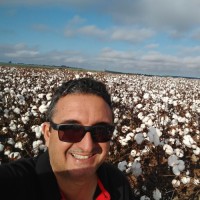 Ascribe Bioscience Employee Armando Sorace's profile photo