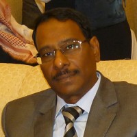 Rakan Trading & Contracting Company Employee Elsayed Hussein's profile photo