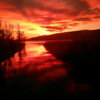 MERLETTI AEROSPACE Employee Maurizio Brusetti's profile photo