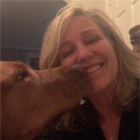 LexisNexis Employee Lisa Nardini's profile photo