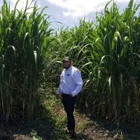 CASUR Employee Arlin Mercado's profile photo