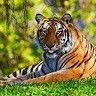 Sukant Das Email