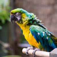 Spirit Airlines Employee Toby Ellison's profile photo