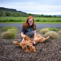 Dogs for Better Lives Employee Emily Sanders's profile photo