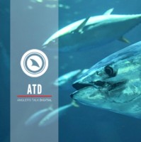 MediaBlock Employee Anglers Magazine's profile photo