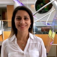 Fernanda Amaral Email & Phone Number