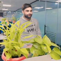 BOXFinity Employee Sai Thirumal's profile photo