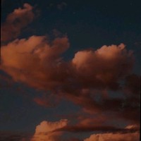 Harini Rengarajan's profile photo