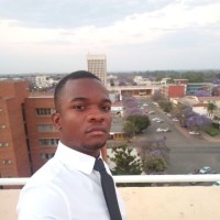 Zimnat Employee Dennis Nyadundu's profile photo