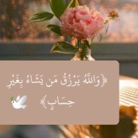 Nour Kamal Email & Phone Number