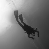 The Richards Group Employee Hopfer Jeff's profile photo