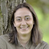 Softchoice Employee Lori Palarchio's profile photo